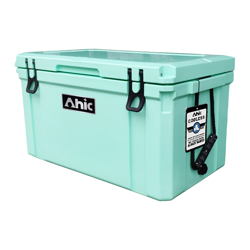 75L Geïsoleerde PE Ijskoelbox  - Food & Snacks Coloring recensie en prijs